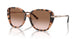 344913 - Tortoise - Brown Pink Gradient