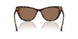 500373 - Tortoise - Brown