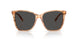 617987 - Brown - Dark Grey