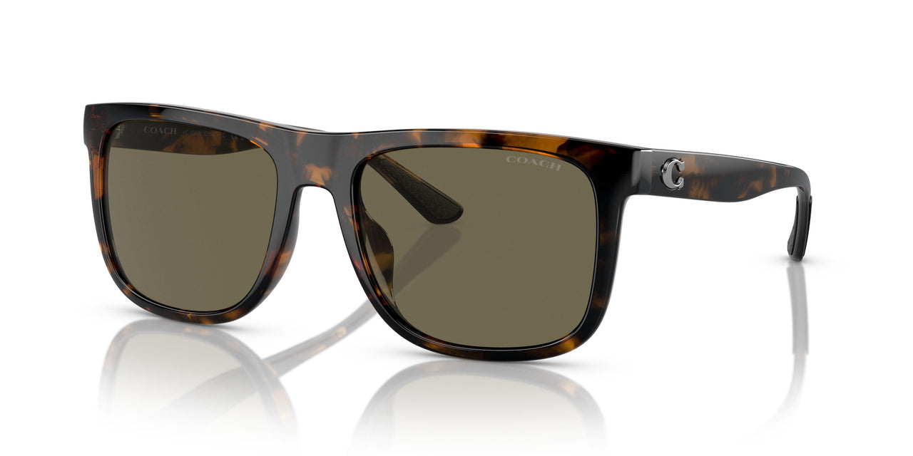 51203 - Tortoise - Brown Solid