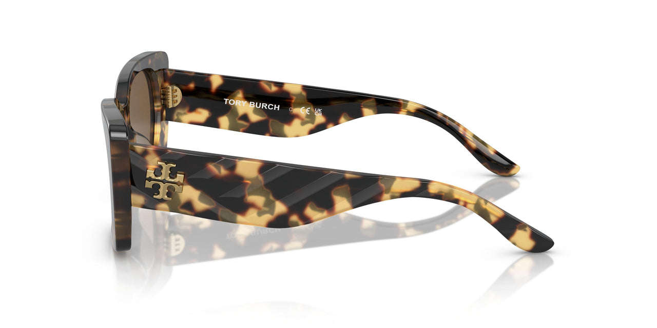147473 - Tortoise - Solid Brown