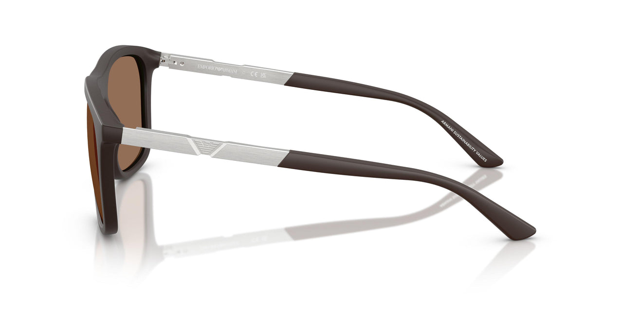 6186EF - Brown - Dark Brown Mirror Gold