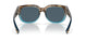 900413 - Brown - Gray 580p