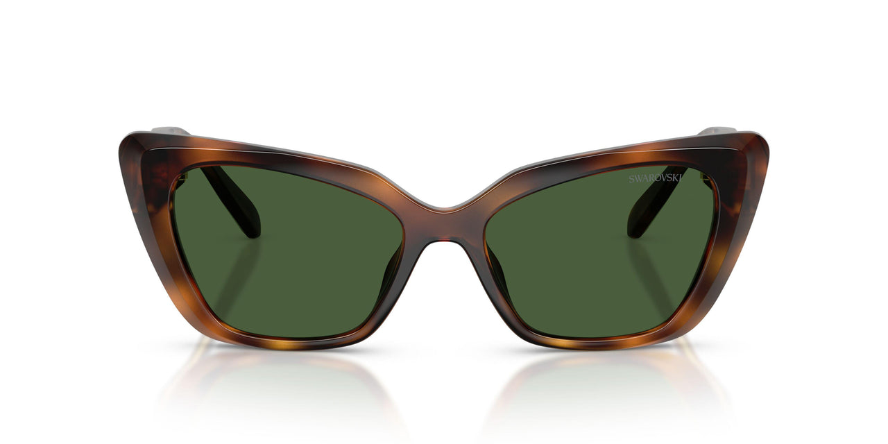 100271 - Tortoise - Dark Green
