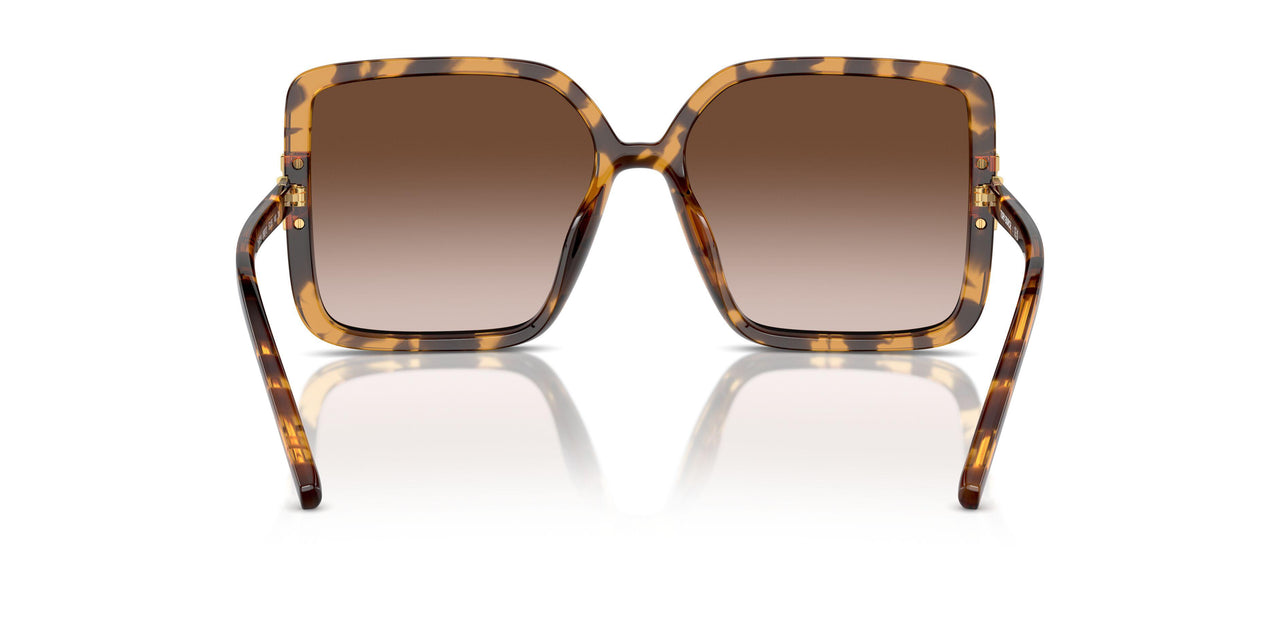 199213 - Tortoise - Light Brown Gradient