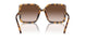 199213 - Tortoise - Light Brown Gradient
