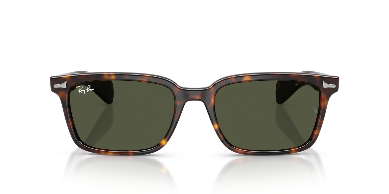 902/31 - Tortoise - Green