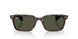 902/31 - Tortoise - Green