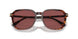 579875 - Dark Tortoise/caramel Tortoise - Violet