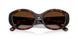 624113 - Tortoise - Gradient Brown