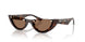 500273 - Tortoise - Dark Brown