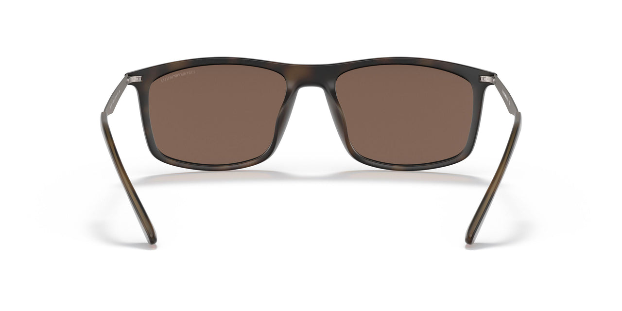 500273 - Havana - Dark Brown