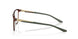 801302 - Tortoise