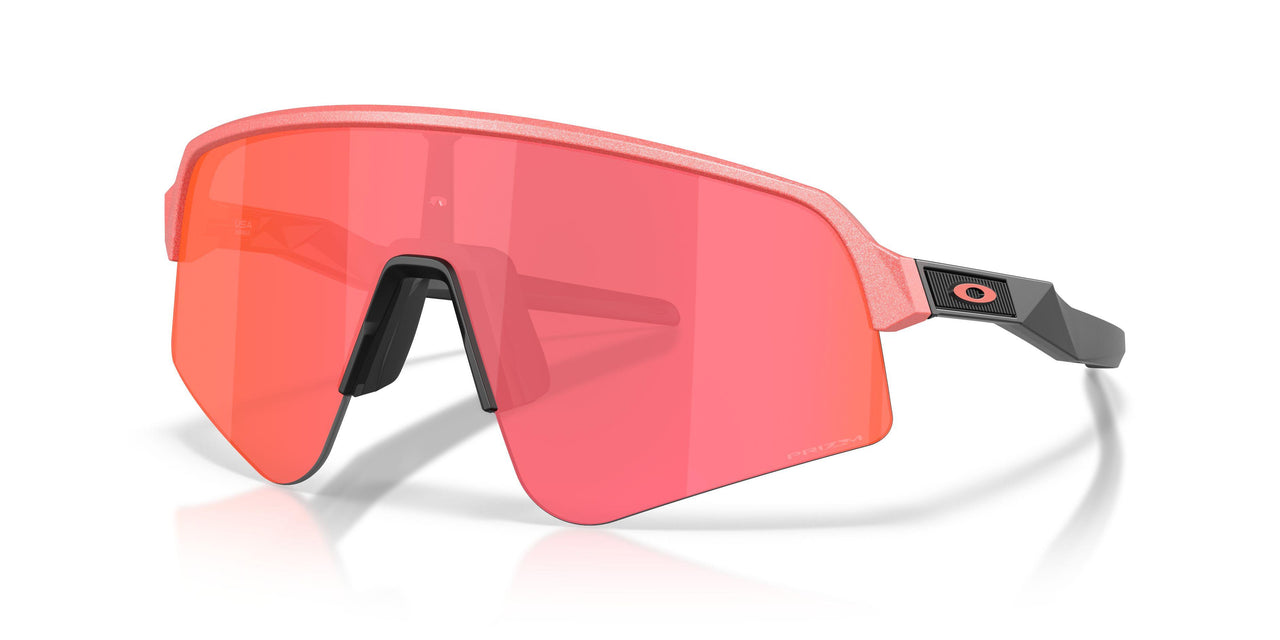 946538 - Pink - Prizm Trail Torch