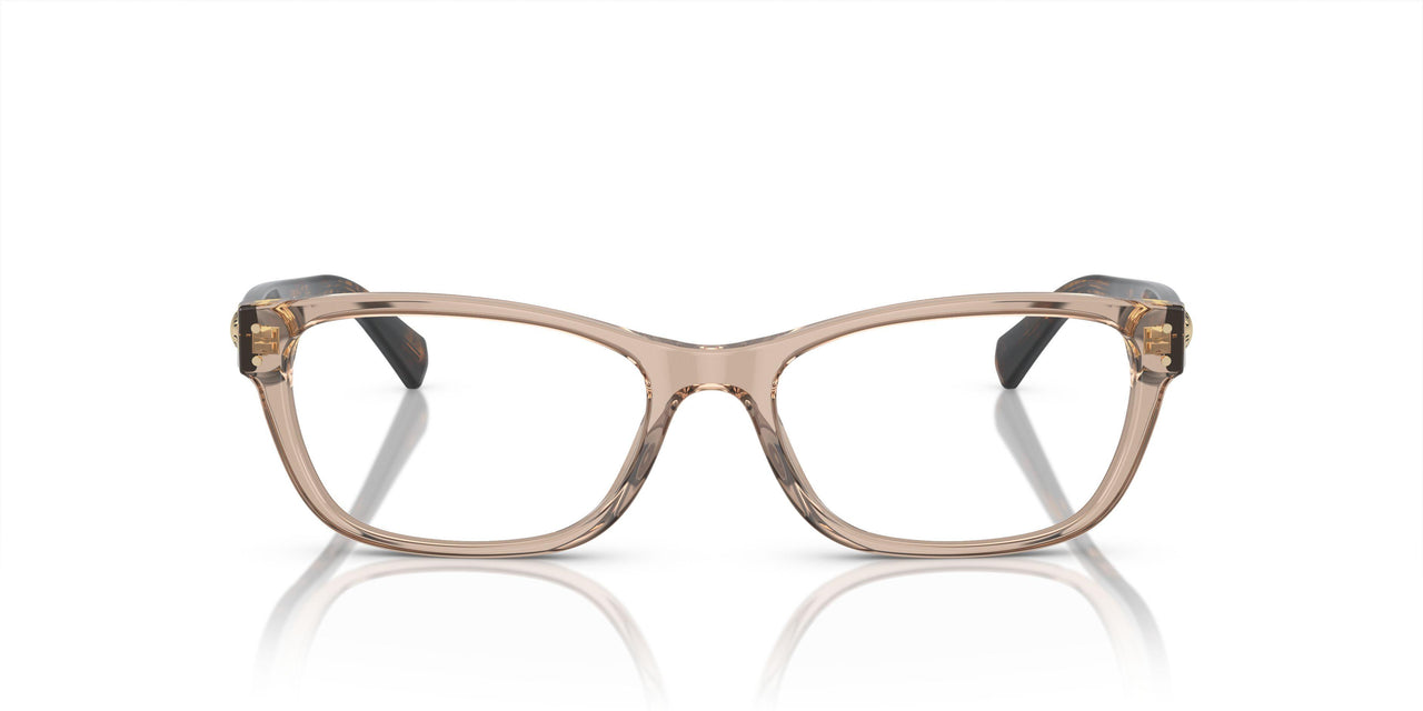 5561 - Brown