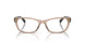 5561 - Brown