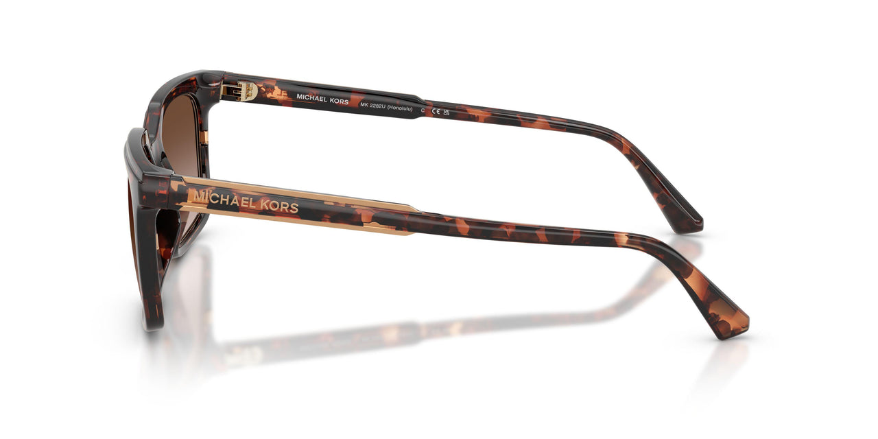 300613 - Tortoise - Smoke Gradient