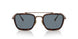 801656 - Brown - Light Blue + Ar