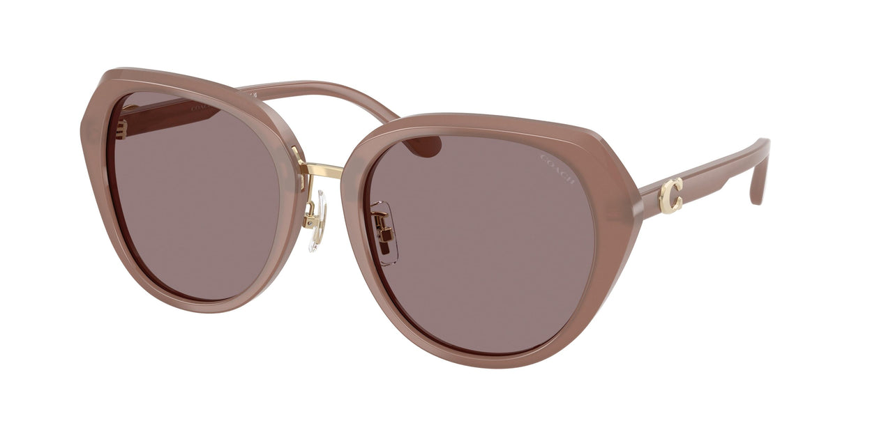 Coach Cby93 8436 Sunglasses