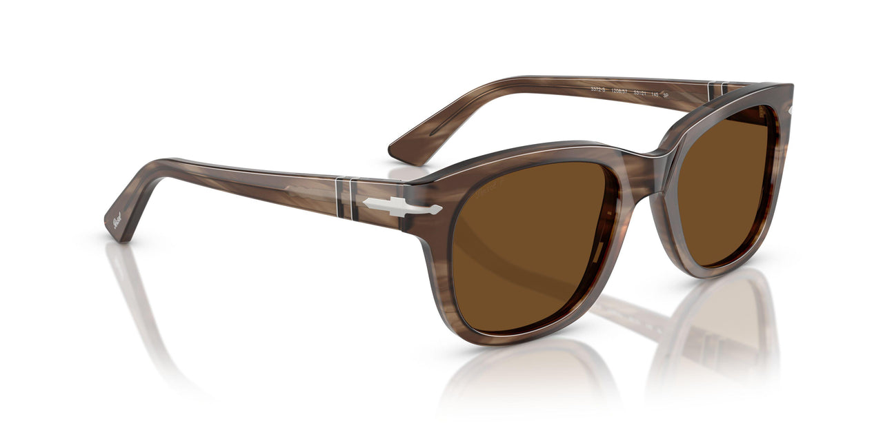120857 - Tortoise - Polar Brown
