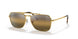 9196G5 - Gold - Polar Clear Gradient Dark Brow