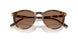 513473 - Havana - Brown