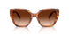 109174 - Tortoise - Brown Gradient