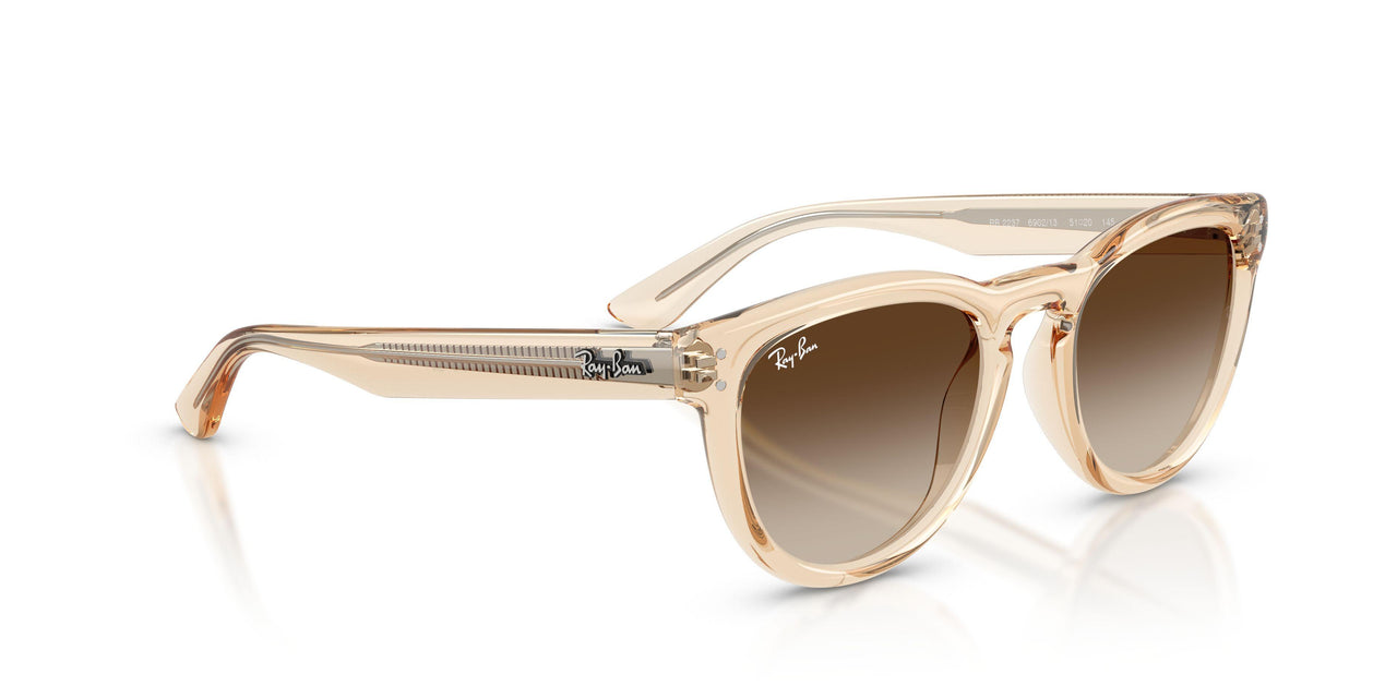 690213 - Pink - Light Brown Gradient Dark Brow
