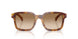 301189 - Tortoise - Light Brown Gradient Brown