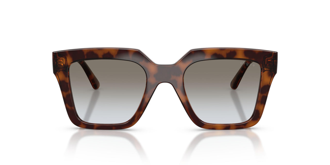 23868G - Brown - Grey Gradient