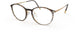 6031 - Havanna Walnut - ext. nosebridge