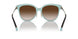 81343B - Havana - Brown Gradient