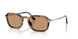 123653 - Brown - Brown