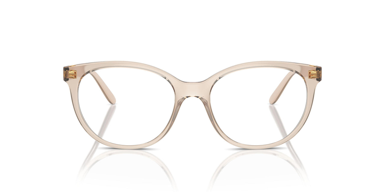 2884 - Brown