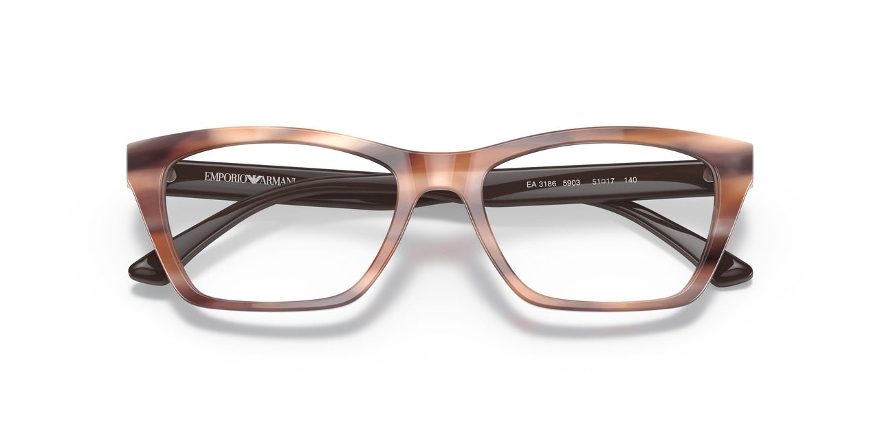5903 - Tortoise