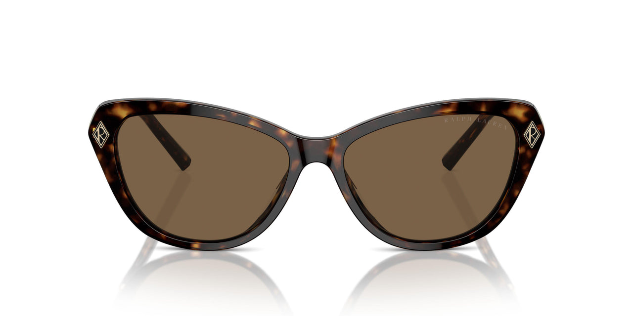 500373 - Brown - Brown