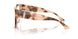 5097 - Tortoise