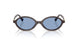 22C60O - Brown - Light Blue