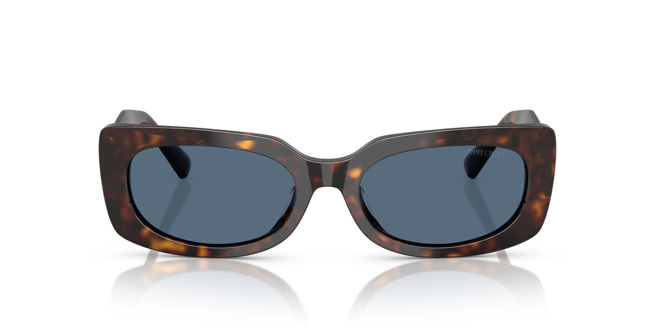 500280 - Tortoise - Dark Blue