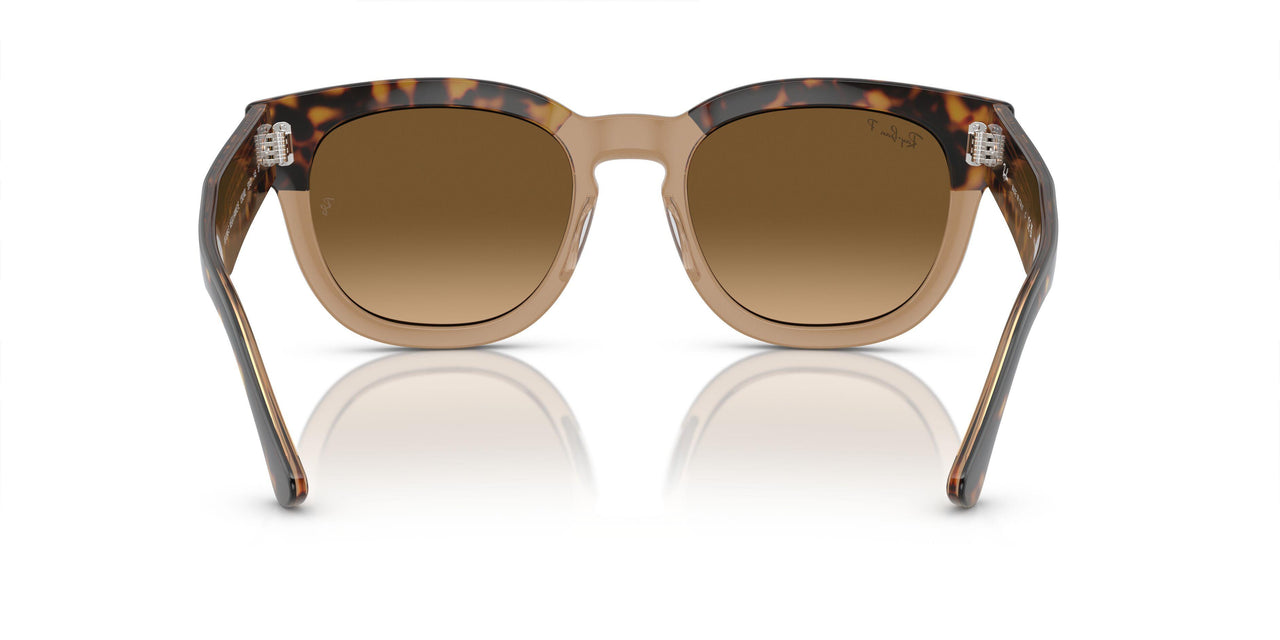 1292M2 - Gold - Brown