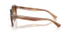 140351 - Tortoise - Clear Gradient Brown