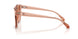 304513 - Pink - Gradient Light Brown