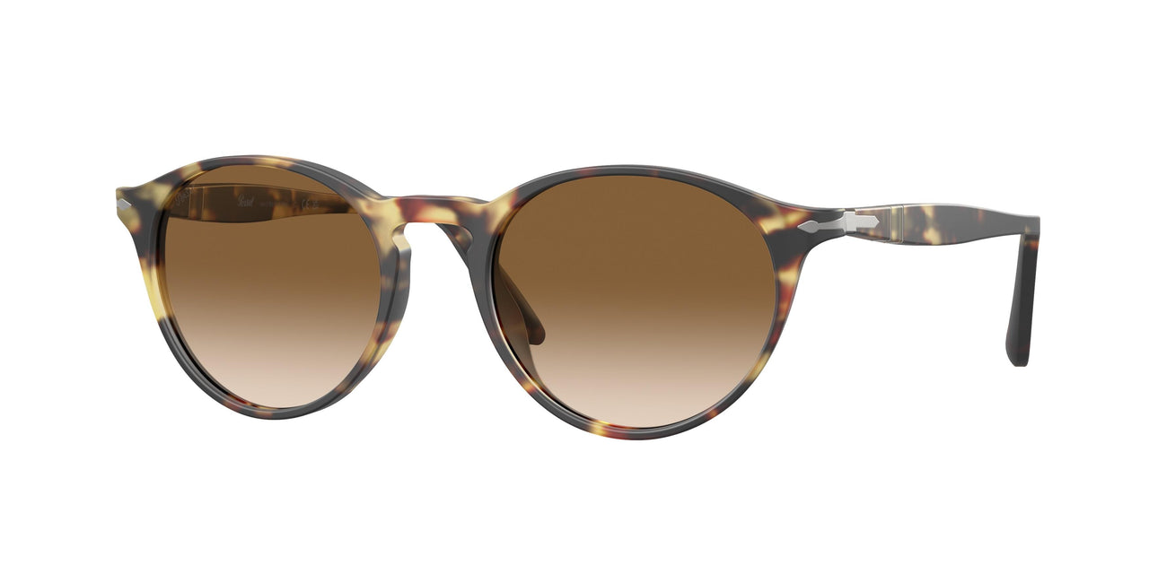 900551 - Tortoise - Brown Gradient