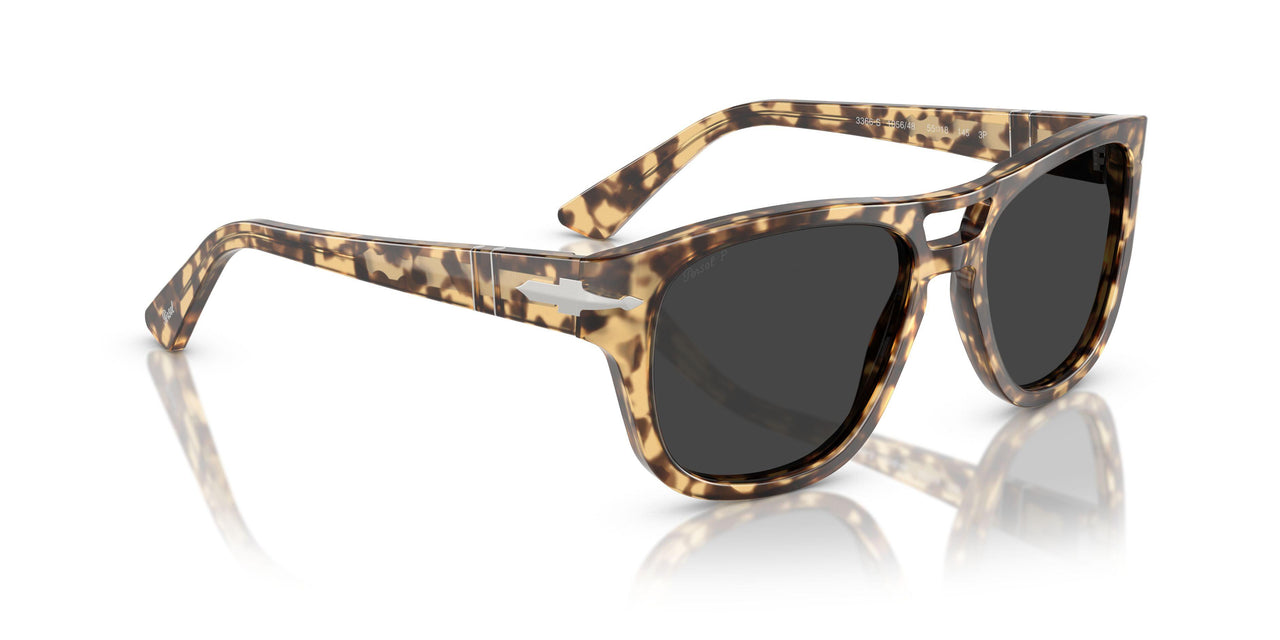 105648 - Tortoise - Polar Black