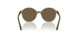 306773 - Transparent Dark Green - Dark Brown