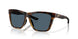 912205 - Tortoise - Gray