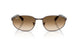 925932 - Copper - Clear Gradient Brown