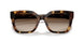 317913 - Tortoise - Gradient Brown