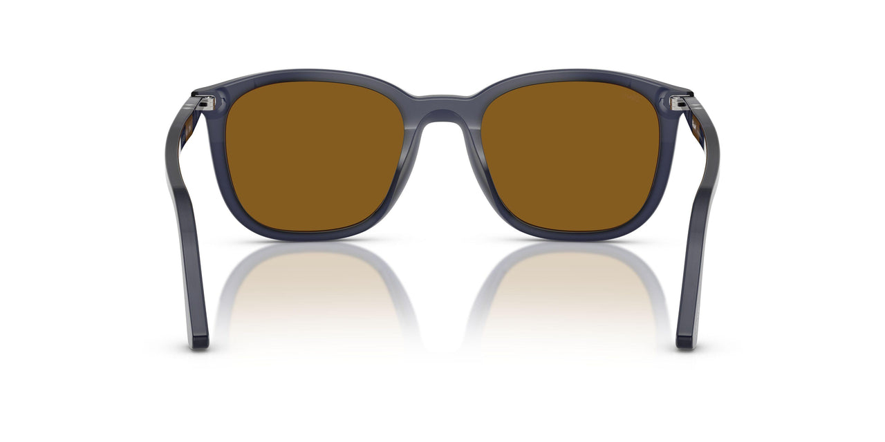 121733 - Blue - Brown