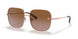 141213 - Gold - Brown Gradient